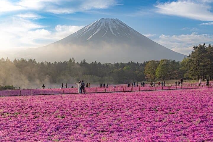 Mt Fuji Tour with Japanese Local Guide on Private Car from Tokyo