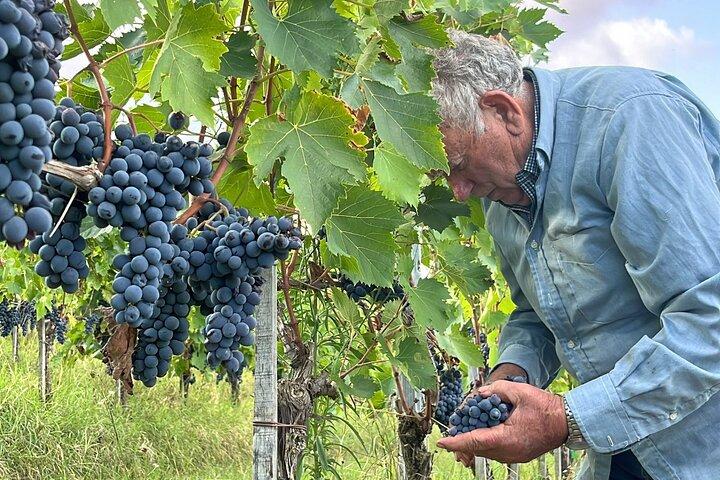 Private Montepulciano Nobile Weinprobe