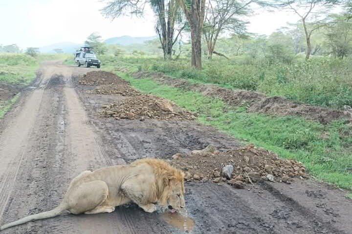 Safari de dia inteiro no Lake Nakuru com pensão completa