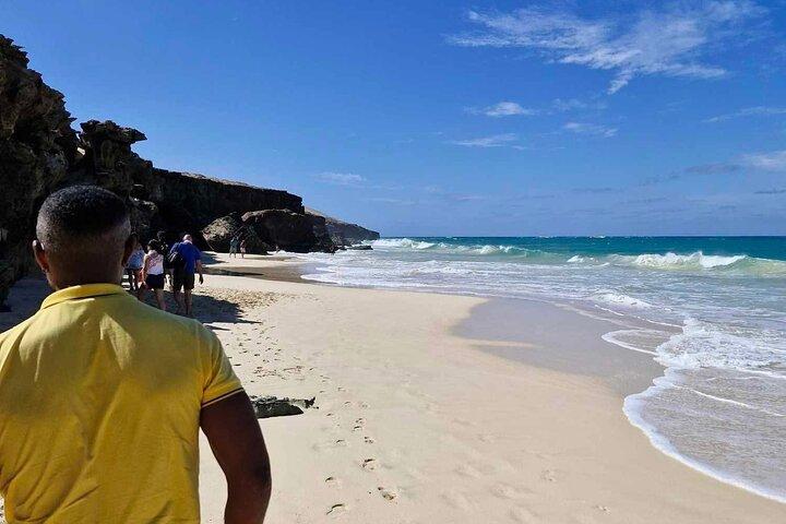 Boa Vista 4x4: Haie, Schildkröten, Höhlen, Sandboard & Verkostungstour