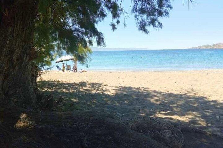 Tempio di Poseidone e Kalopigado Beach Tour con cucina greca