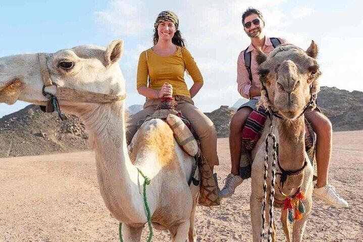 Sharm El Sheikh Desert Safari Quad, Camel Ride, Diner & Stargazing