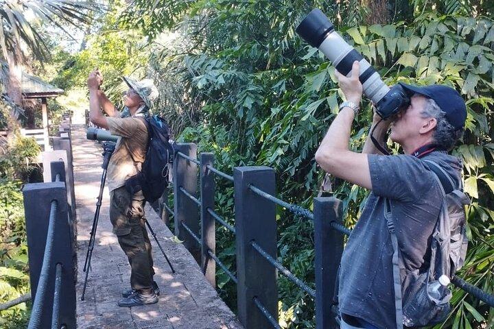 JungleWalla Sedim Regenwoud en Canopy Wandeling