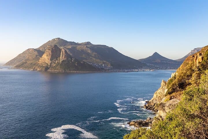 Half day African Penguin Tour