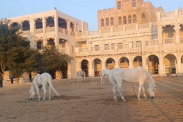 Opdag Doha's vidundere