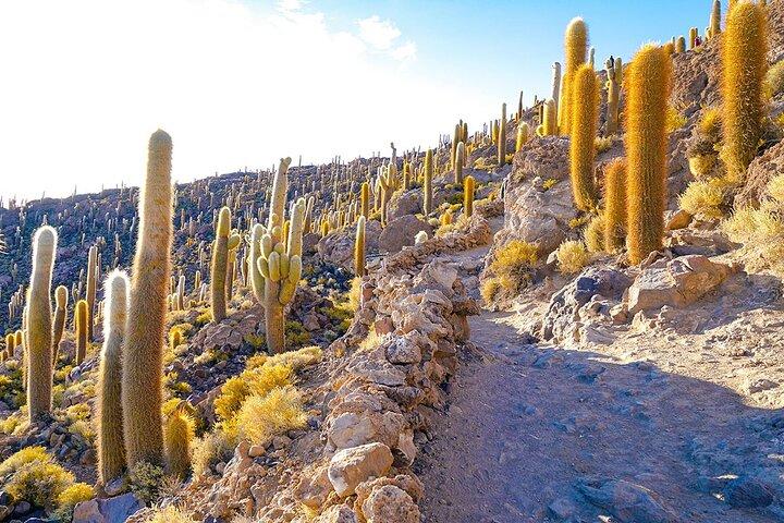 8 dagars privat guidetur till det bästa av Bolivia