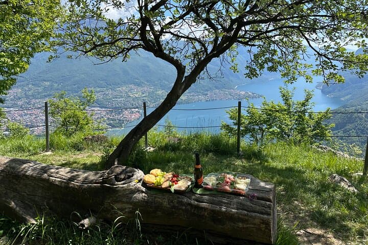 From Milan/Como/Varenna: Panoramic Hiking Tours near Lake Como