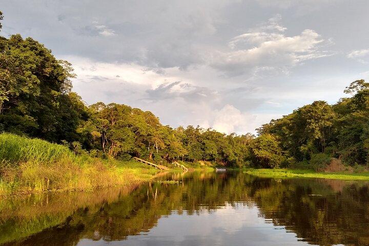 Ganzer Tag mit Fortgeschrittener von Manaus zum Negro River, Amazonas