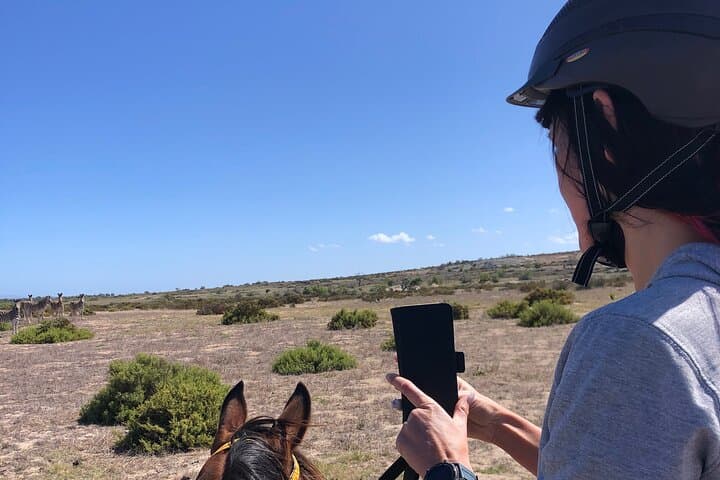 Horse safari and culture experience for all levels of riders