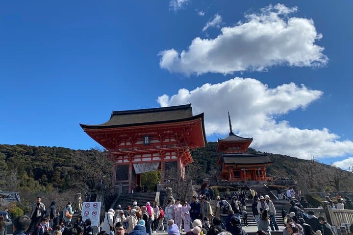 Discover the Secrets of Fushimi Inari and Gion with a Local Guide