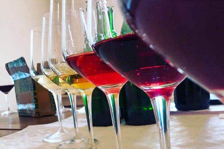 Degustación de 6 vinos con viñedo y bodega en Lazise