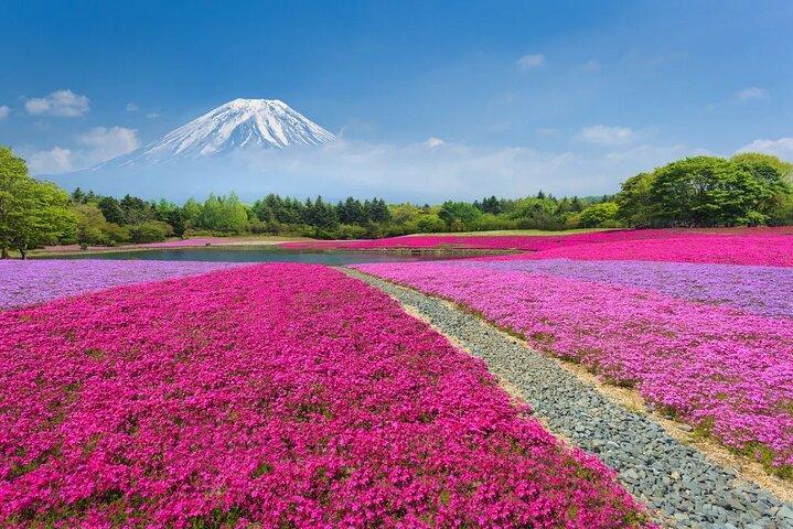 東京から富士山河口湖と山中湖温泉ツアー