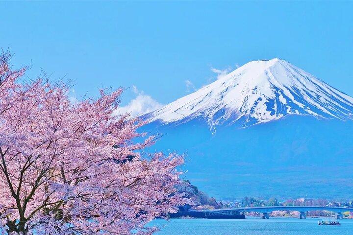 東京から富士山河口湖と山中湖温泉ツアー