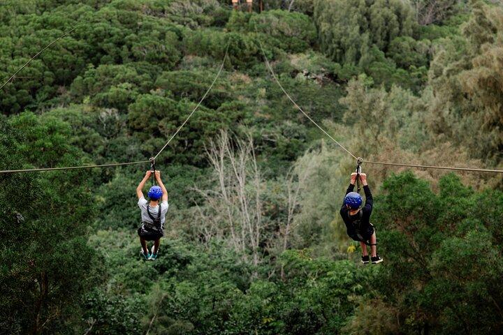 Oahu's North Shore : 8 - Line Zipline Eventyr