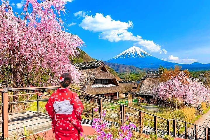 Mount Fuji Day Tour:Lake Kawaguchi, HealingVillage,Oshino Hakkai