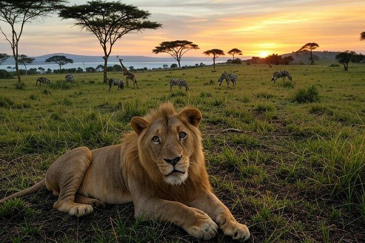 4 giorni Uganda Queen Elizabeth Park e Safari degli scimpanzé dal Ruanda