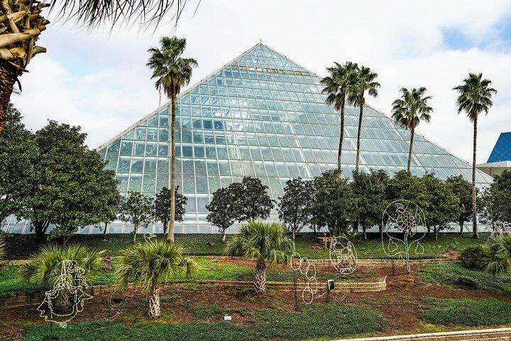 Galveston Island Escape : Private 5 - Hour Coastal Adventure