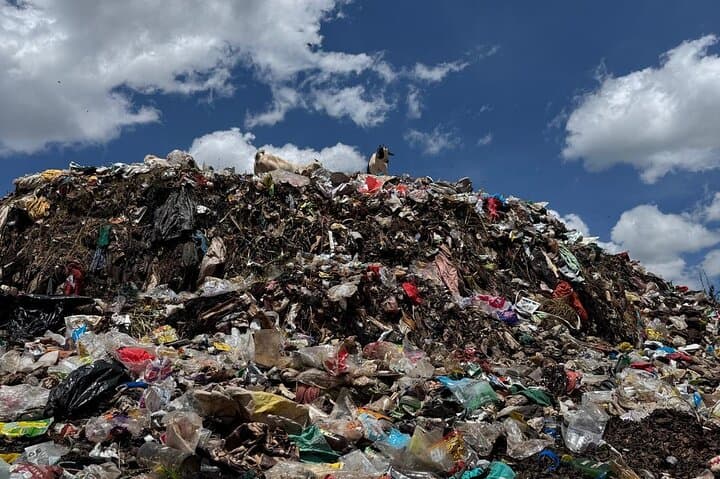 Visit the largest slum in Africa with a Local