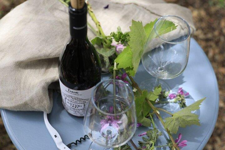 Taranto and Manduria with Wine Tasting Day Tour