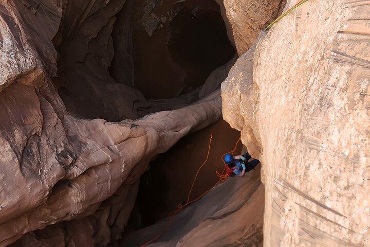 Morning Glory Arch : Appel en Klimmen