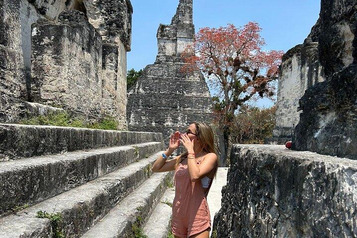 Passeio de dia inteiro em Tikal de avião saindo da Cidade da Guatemala