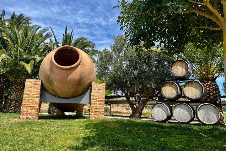 Alicante: Rota dos Vinhos com degustações e aperitivos