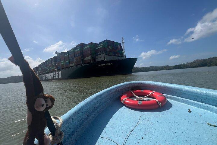 Croisière nature sur le lac Gatun Expérience sur le canal de Panama
