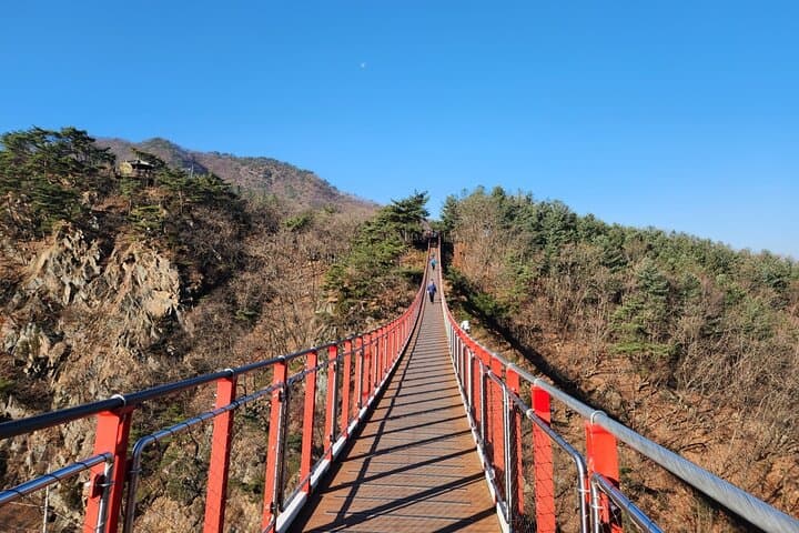 Korea's DMZ 3rd Tunnel Tour from Seoul & Optional Red Bridge Rush