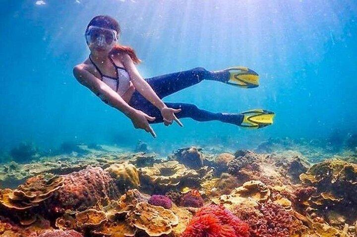 Schnorchelausflug nach White Island & Ras Mohammed in Sharm El Sheikh