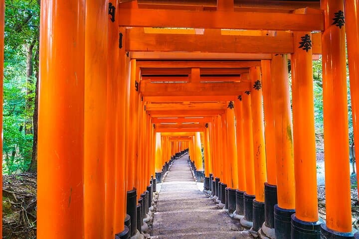 Kyoto Tour at Nara Park, Arashiyama and Fushimi Inari Shrine