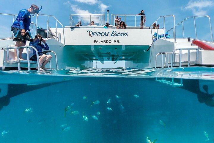Tour de buceo Culebra en catamarán desde Fajardo