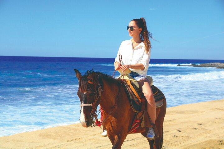 UTV de playa y paseos a caballo en Cabo