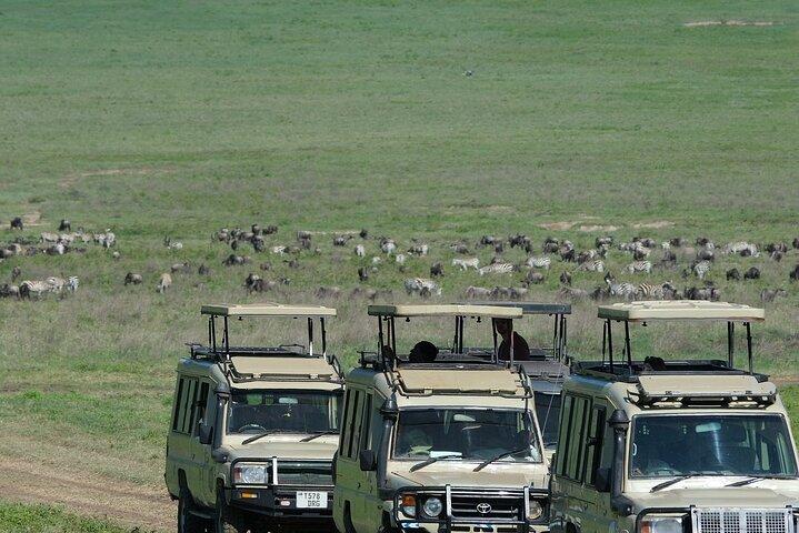 4-dages privat Arusha safari tur