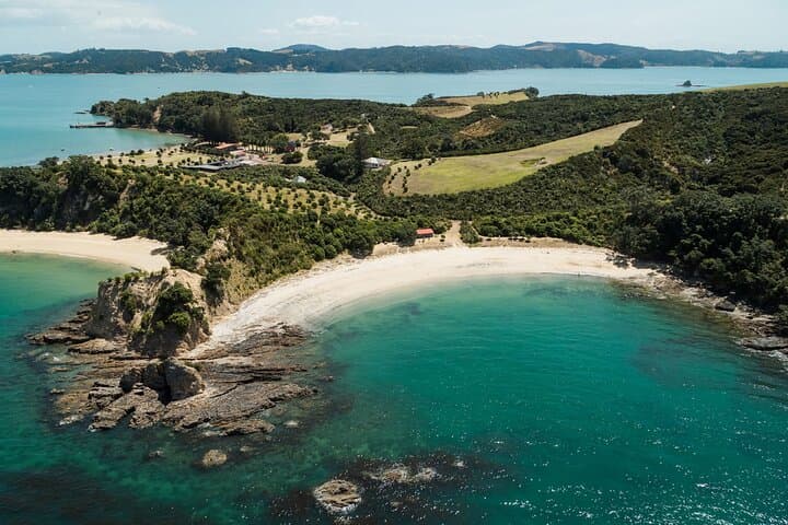 Rotoroa Island and Man O' War Vineyard Combo from Auckland