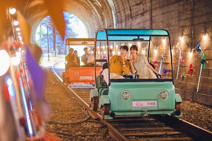 Nami Island/Alpaca/Rail Bike/Petite France/Morning Calm Tour