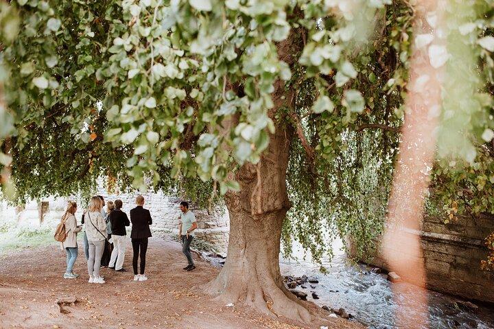 Maastricht-Höhepunkte-Tour mit einem offiziellen Maastricht-Reiseführer