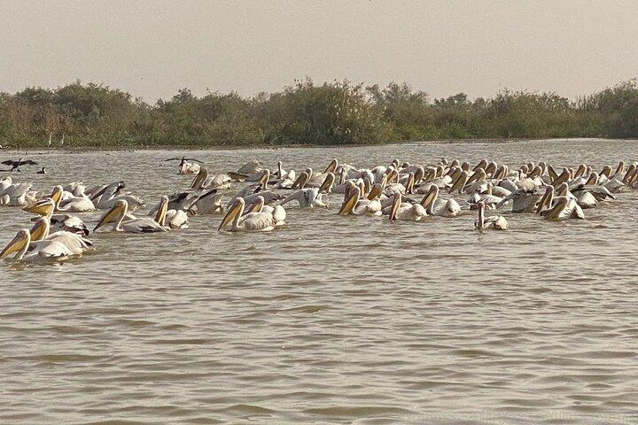 Dakar, Pink Lake, St louis, et Lompoul Expérience 3Jours 2Nuits