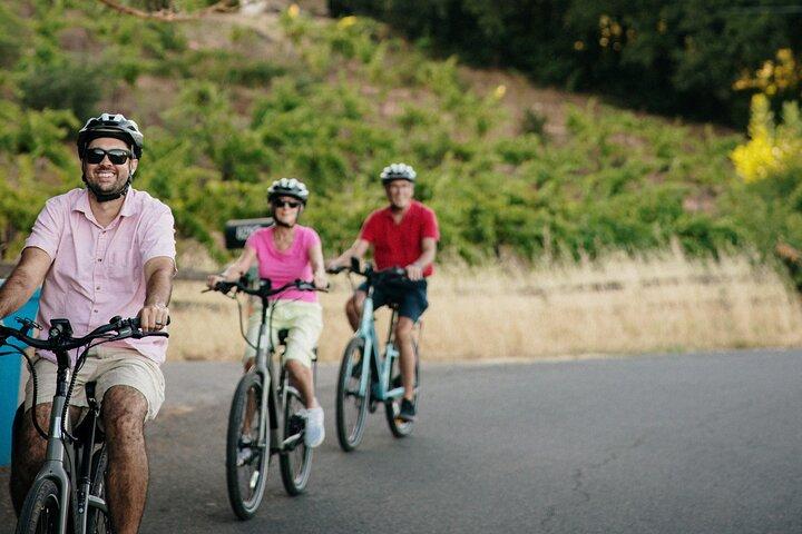 Tour de degustação de vinho de bicicleta elétrica guiada de meio dia com almoço