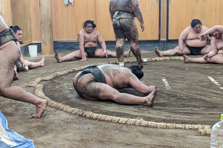 Sumo show og Chanko frokost