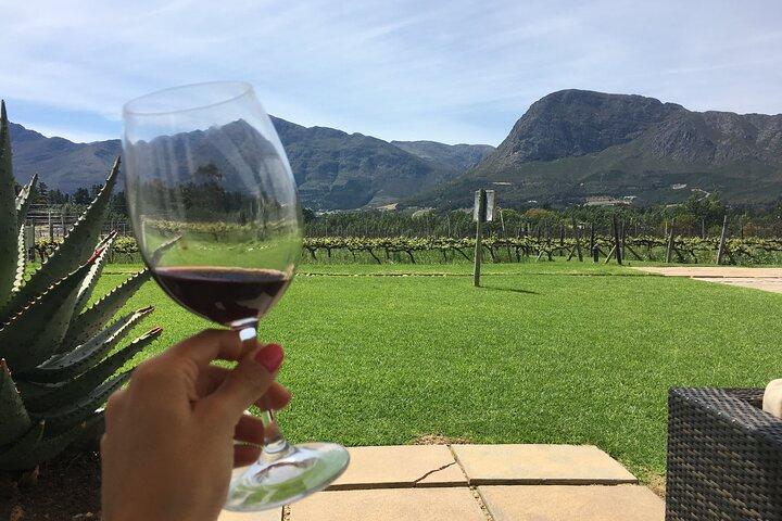 Franschhoek Wine Tram Tour com Hotel Pickup e Retorno