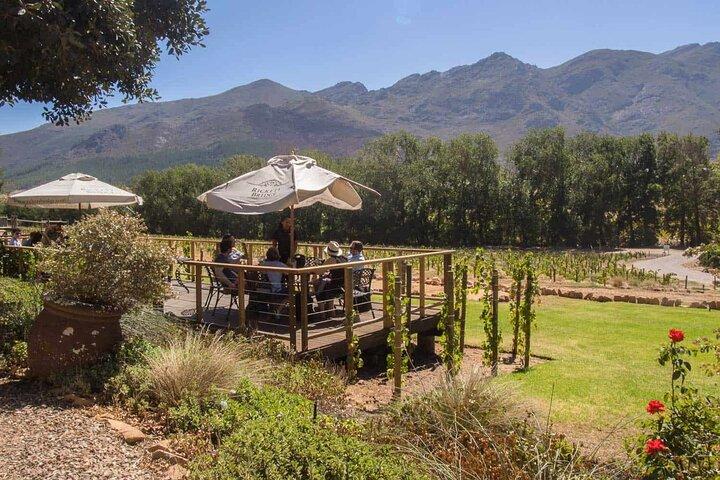 Franschhoek Wine Tram Tour com Hotel Pickup e Retorno