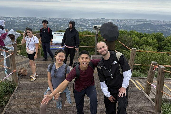 Kleine Gruppentour auf der Süd-Jeju-Heilinsel mit Halla & Falls