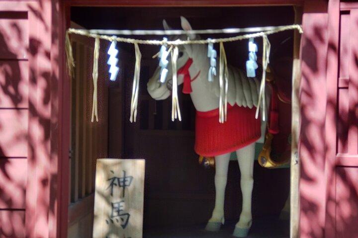Miho NO Matsubara, Kunozan Toshogu, Nihondaira Visite libre
