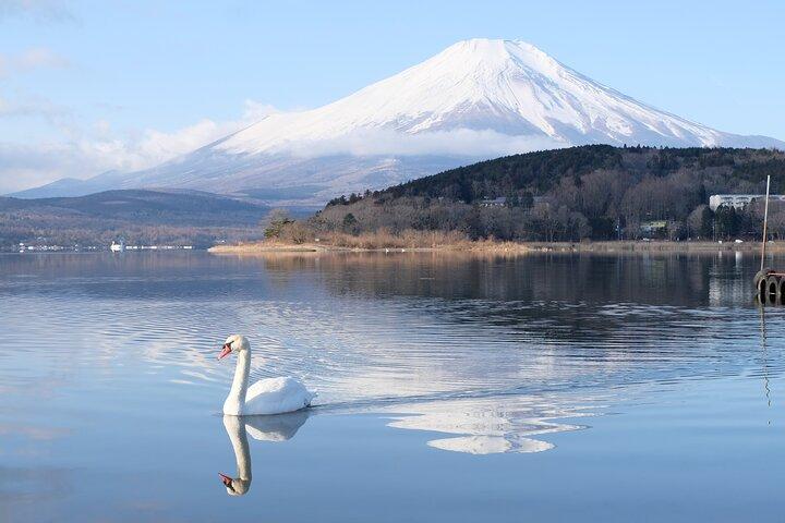 富士山シグネチャー6選 東京発日帰りツアー