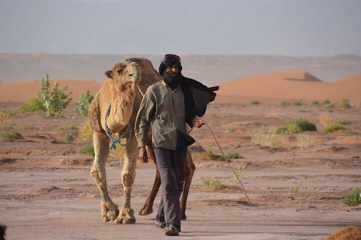 4 Days Fes to Sahara Desert termina em Marrakech