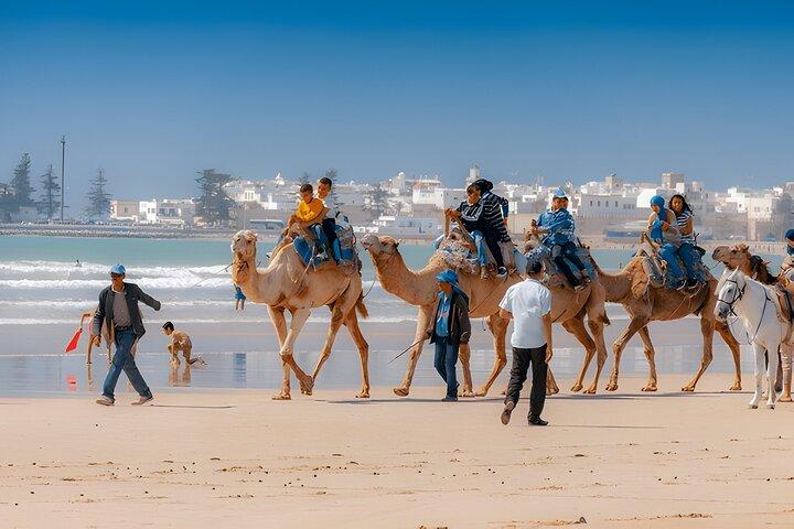 De Marrakech: Essaouira Day Trip com atividades opcionais