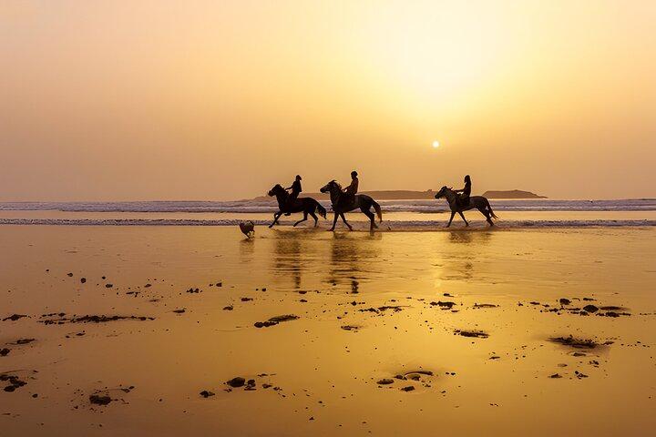De Marrakech: Essaouira Day Trip com atividades opcionais