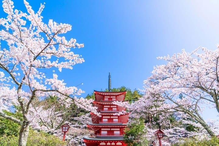 From Tokyo: Top 5 Scenic Spots of Mount Fuji Full-Day Tour