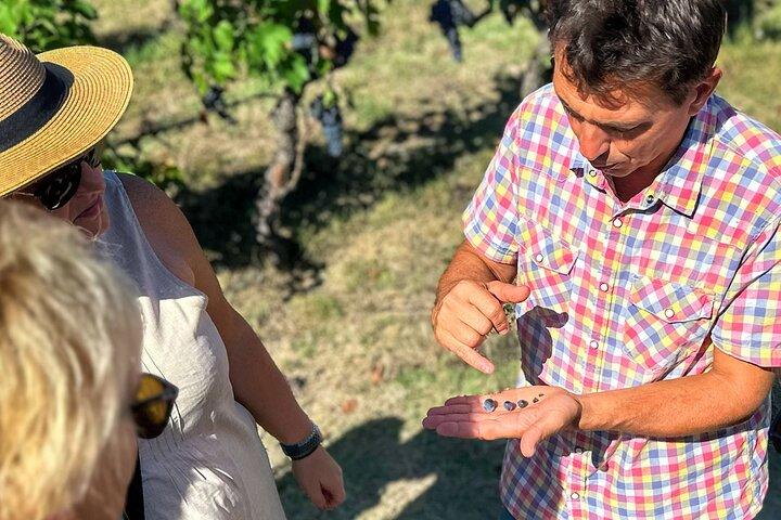 Brunello Wine Tour Experience Petit groupe seulement