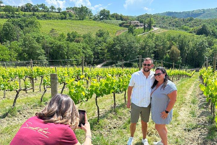 Brunello Wine Tour Experience Petit groupe seulement